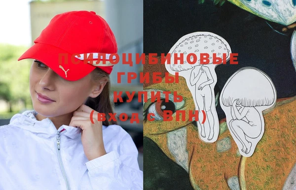 стафф Михайловск